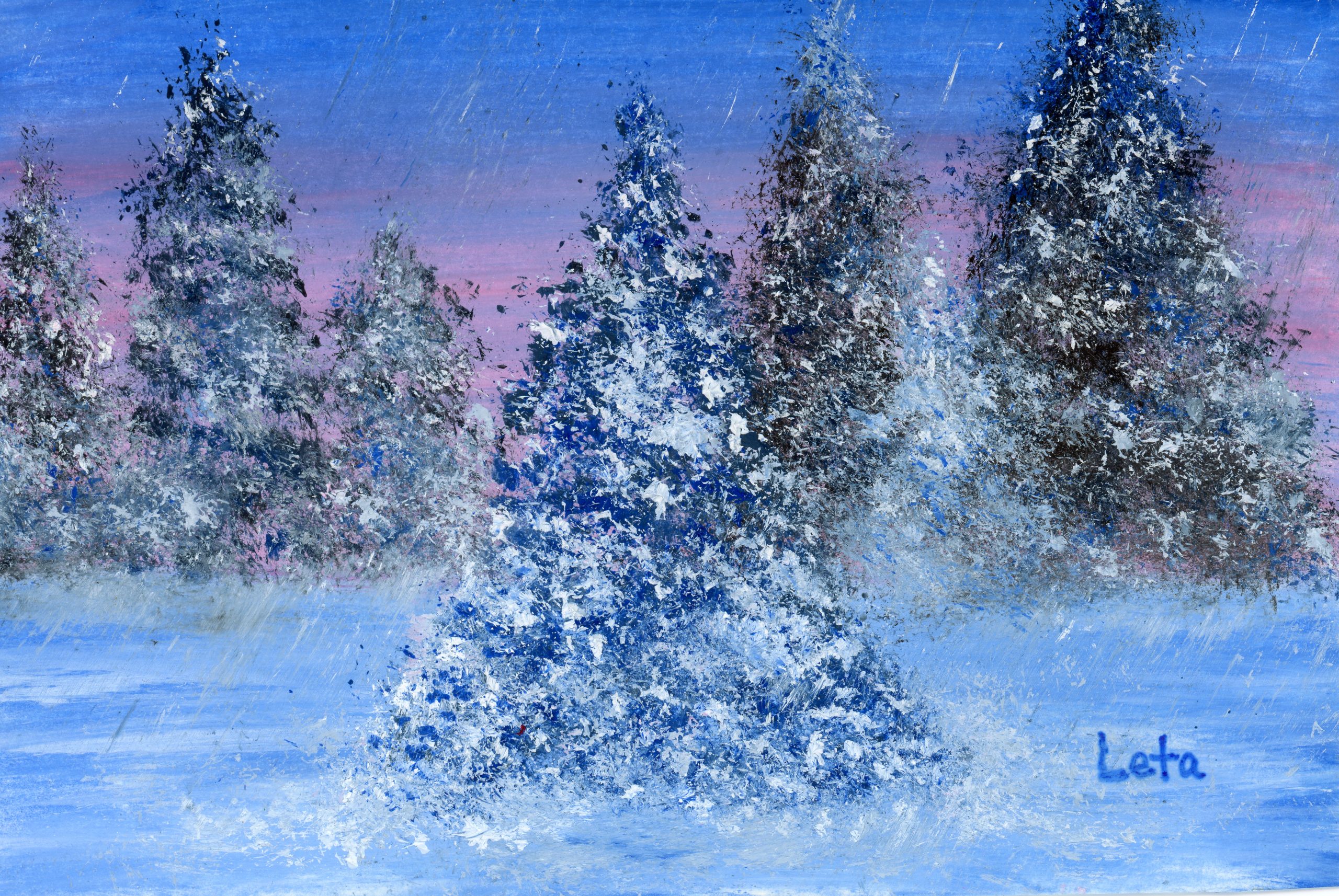 Christmas Tree Forest